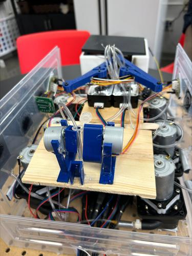 Rishabh Ranjan and Gopal Tadinada