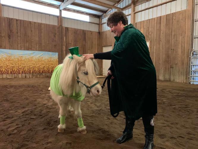 IMAGES| Mini horses win Halloween with costume party fundraiser for Opening Gates nonprofit