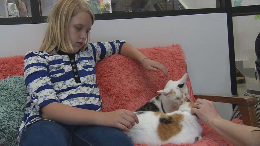 raw CAT CAFE MOTHER'S DAY GIRL CAT 5-12-19.jpg