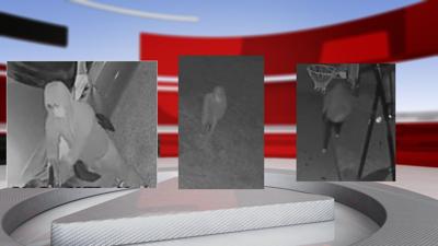 LMPD SUSPECTS.jpg