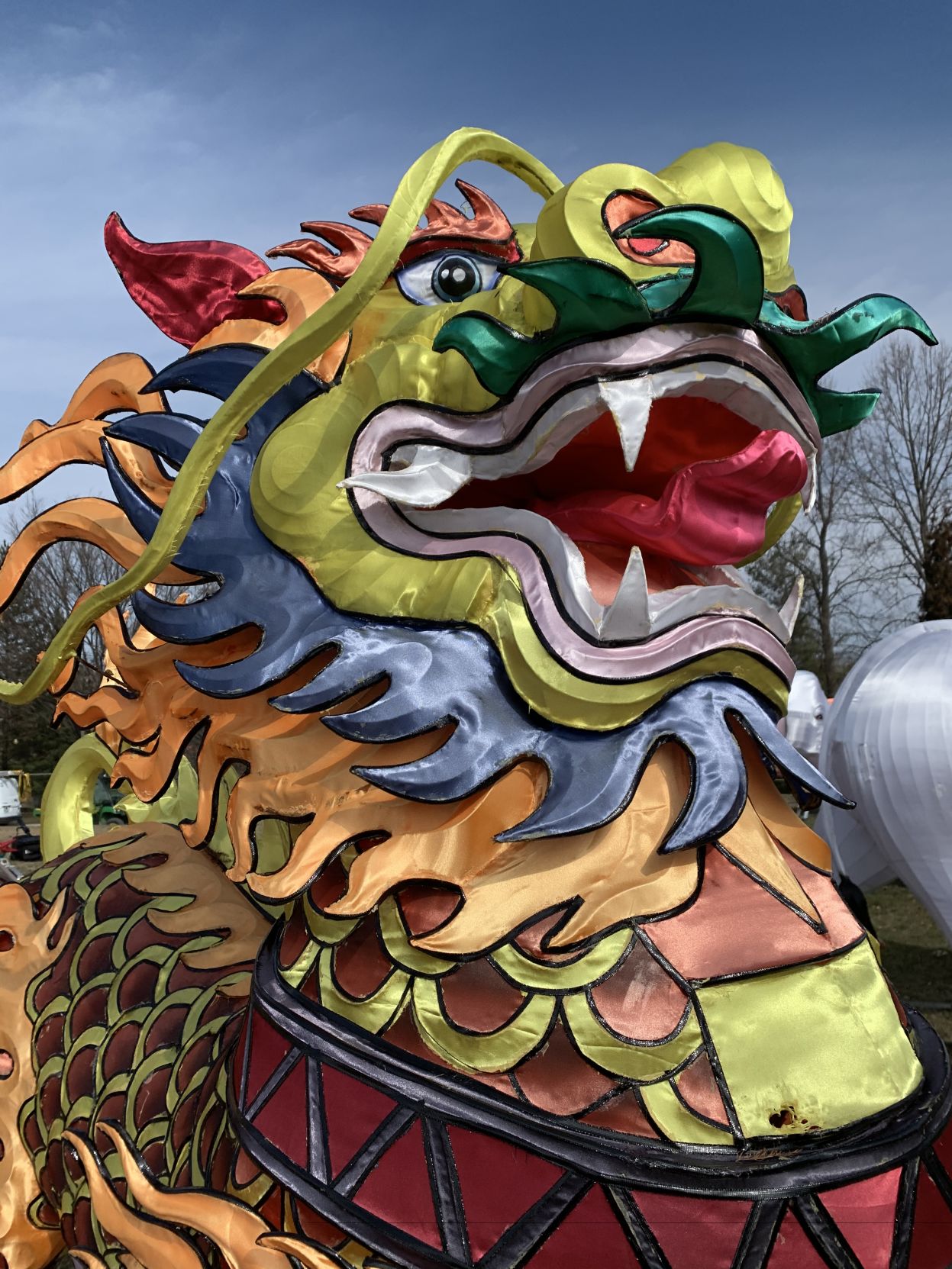Asian Lantern Festival (Dragon 5).jpg