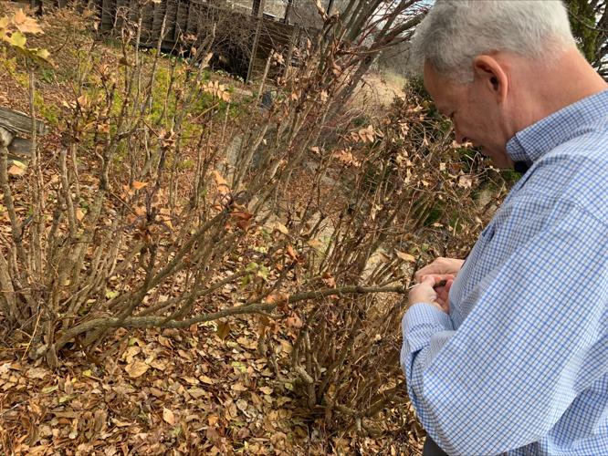 Yew Dell Botanical Gardens