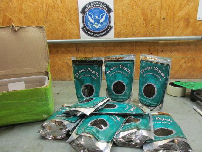 Feds seize 10 shipments of Dimethyltryptamine (DMT) at UPS Worldport