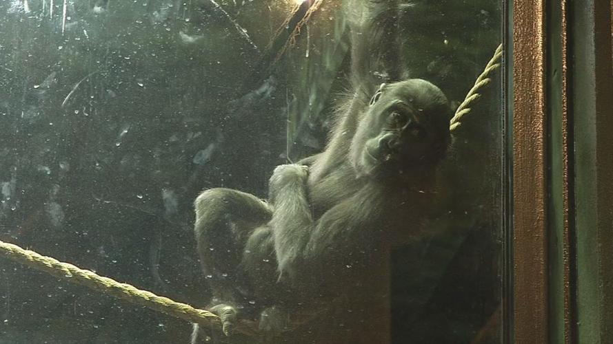 Kindi 3rd birthday 5.jpg