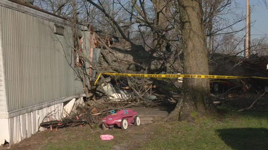 JEFFERSON CO 9 YEAR OLD TREE DEATH (2).jpeg
