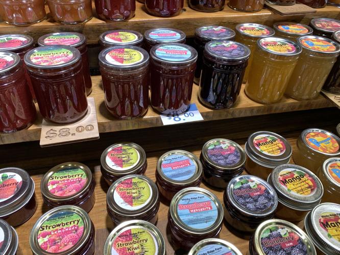 KY STATE FAIR - FOOD AND VENDORS - 8-17-2023   (22).JPG