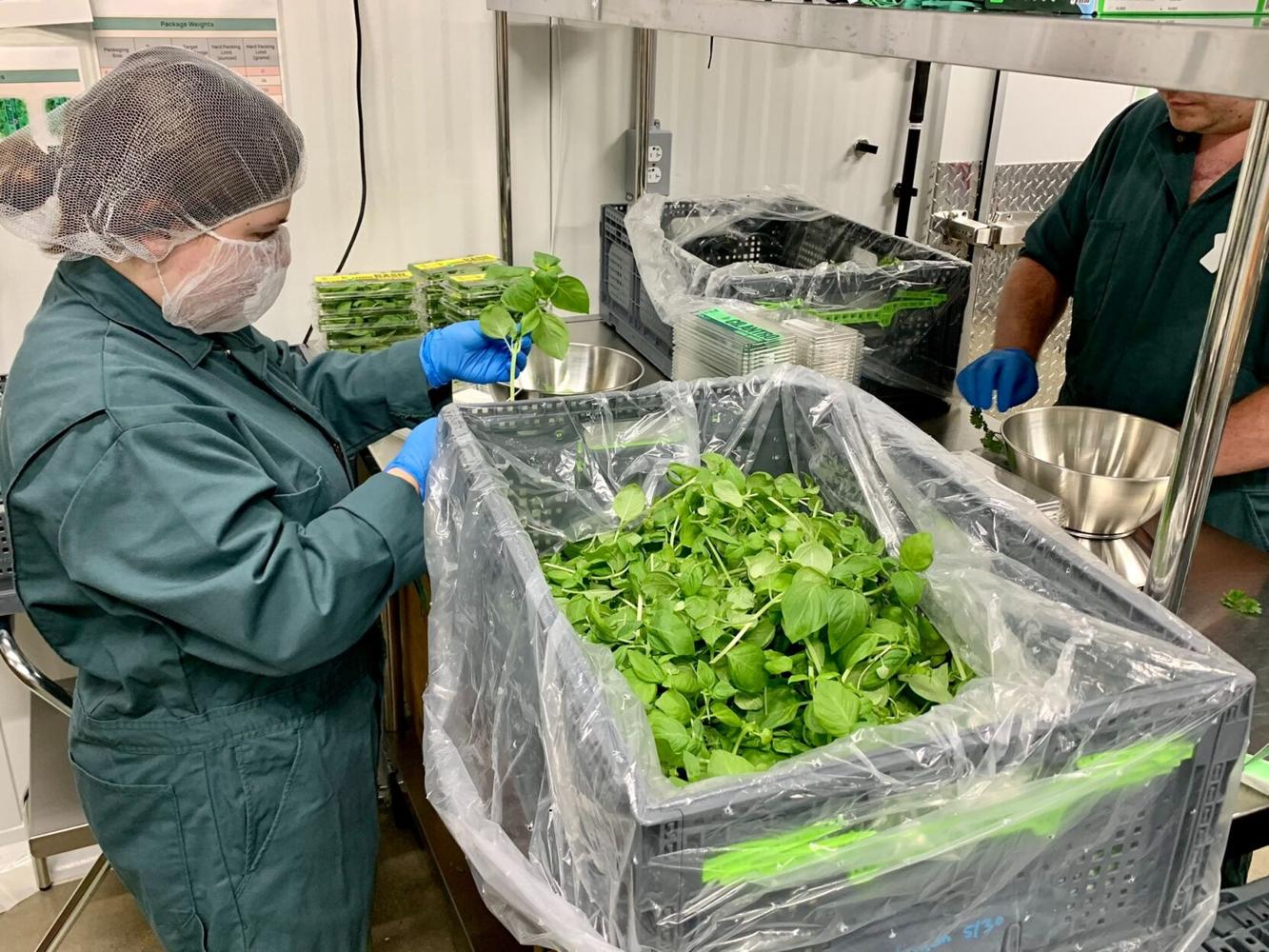 Bureau of Labor Statistics