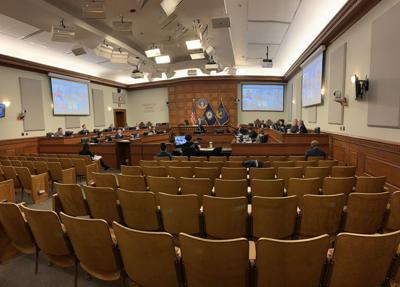 Metro Council Coronavirus Vote