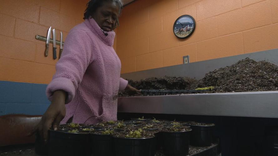 Mary Richie, potting plants at the Churchill Downs Greenhouse. Richie has worked here for 15 years.