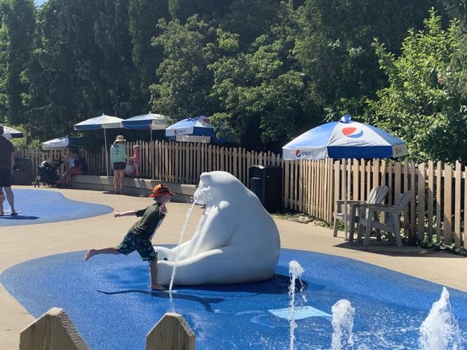 Splash park at Louisville Zoo