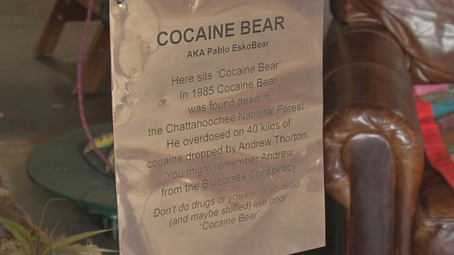 Closeup of Cocaine Bear exhibit with sign