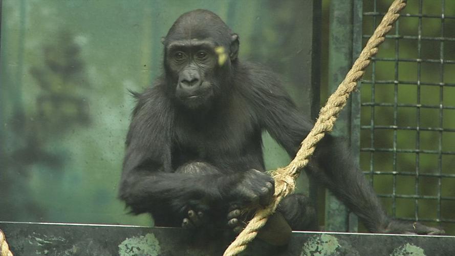 Kindi 3rd birthday.jpg