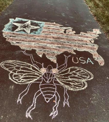 PLAINVIEW - CHALK DRAWINGS - IMAGES BILL HALL  (5).jpg