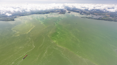 Mild to moderate harmful algal bloom predicted for western Lake Erie