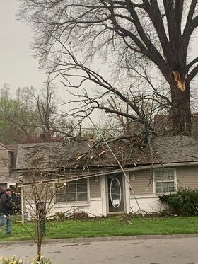 Tree on home in New Albany, Ind - 4.2.24