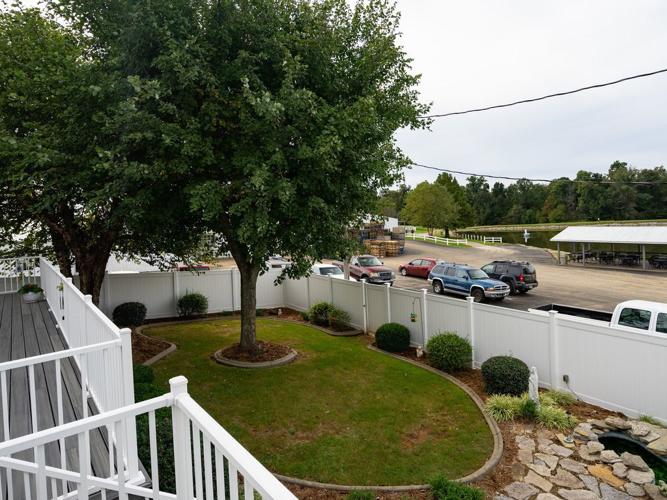 Uncle Joe's Bird Nest-16.jpg