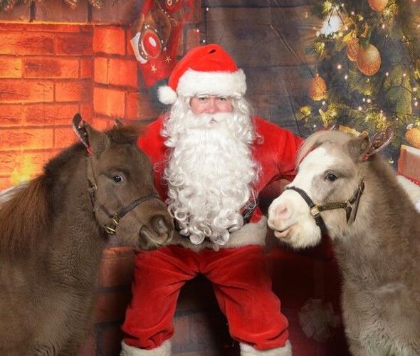 Picture Your Pet with Santa