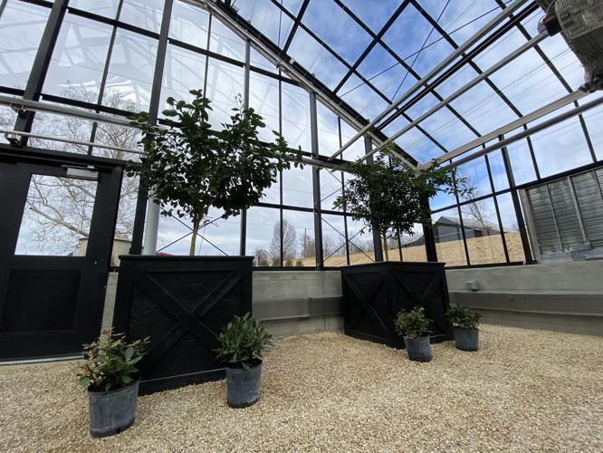 Photo Jan 23, 12 25 28 PM.jpg