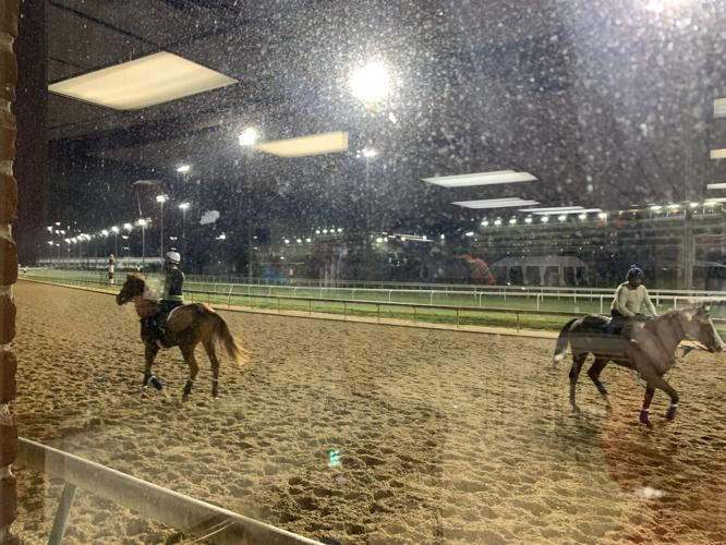 view from window.jpg