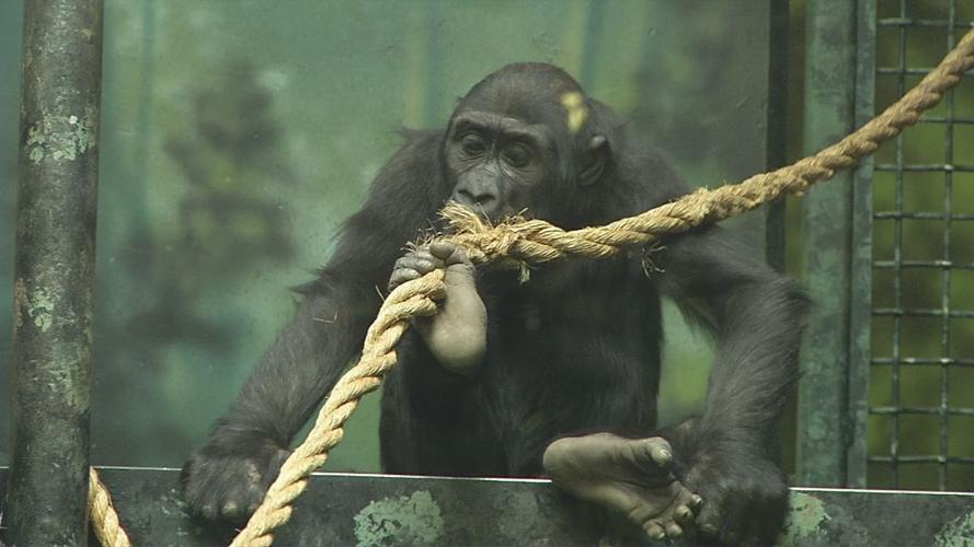 Kindi's 3rd birthday 3.jpg