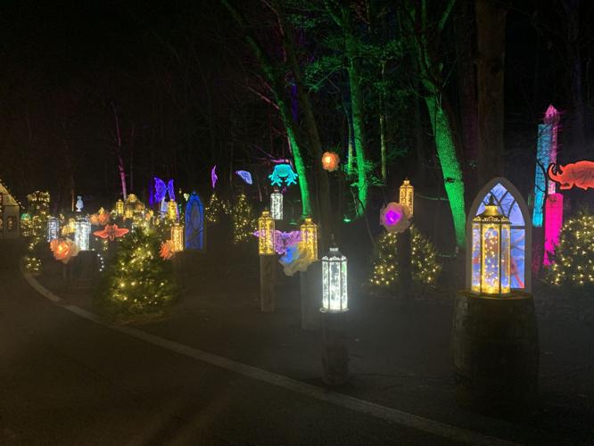 Winter Woods Spectacular (17).JPG