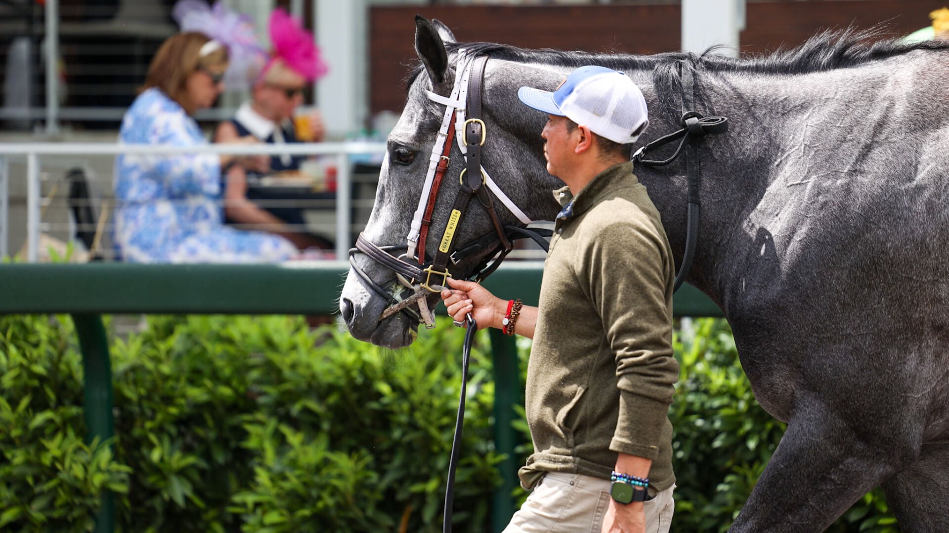 Scratch of Silent Tactic Opens Derby Door for Great White, a 50-1 Longshot — image 5