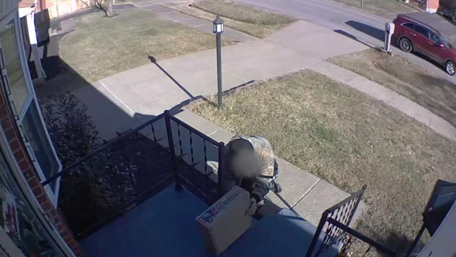 Porch Pirate