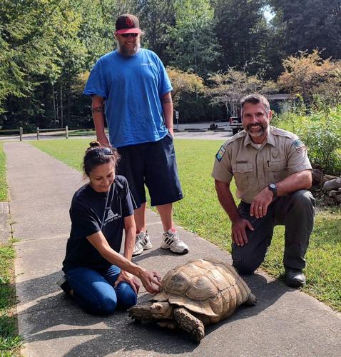 Tank the Tortoise recovered
