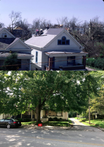 Screen Shot 2020-04-03 at 3.58.14 PM.png