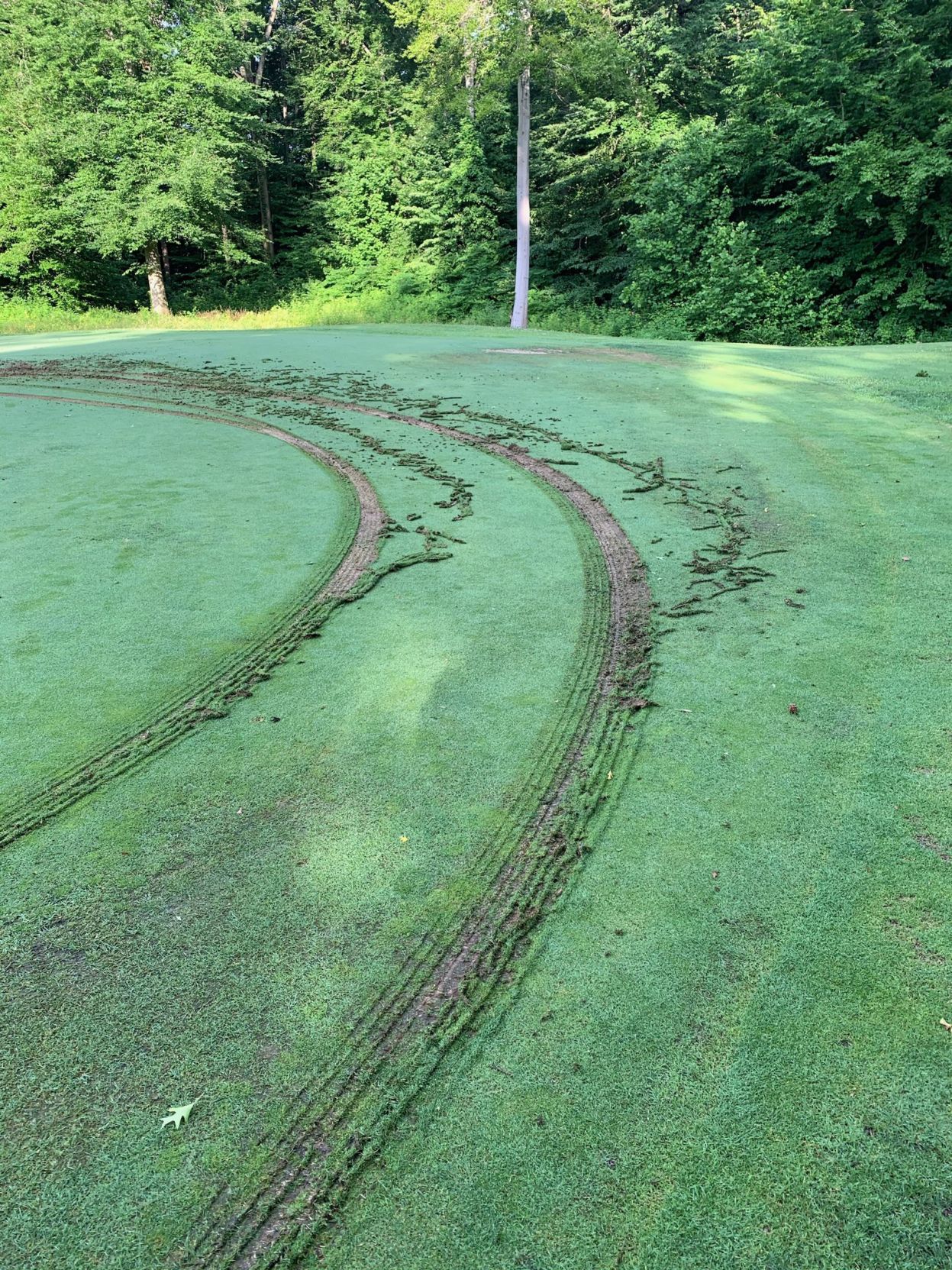 Sun Valley Golf Course Tracks Closeup
