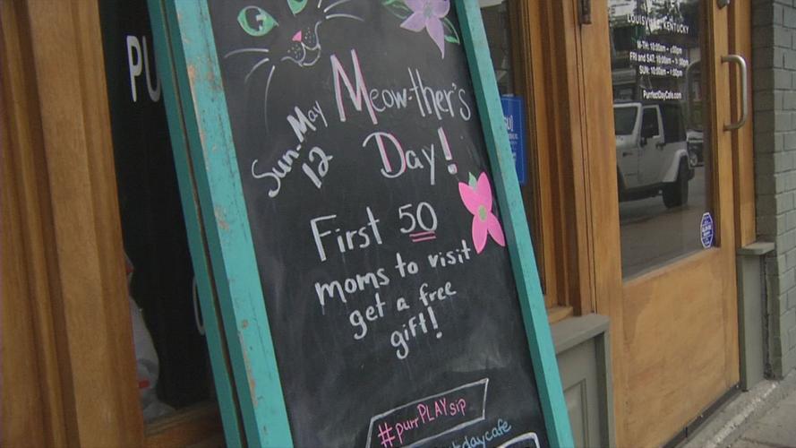 raw CAT CAFE MOTHER'S DAY SIGN 5-12-19.jpg