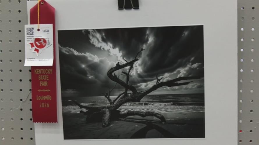 Kentucky State Fair art accused of AI