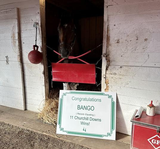 Bango after winning race