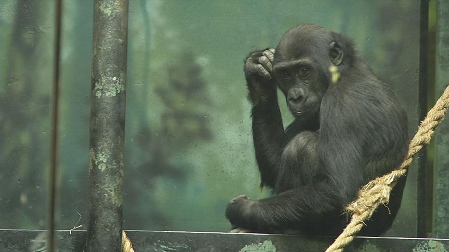 Kindi's 3rd birthday 2.jpg