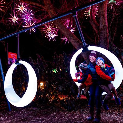 Wild Lights at the Louisville Zoo