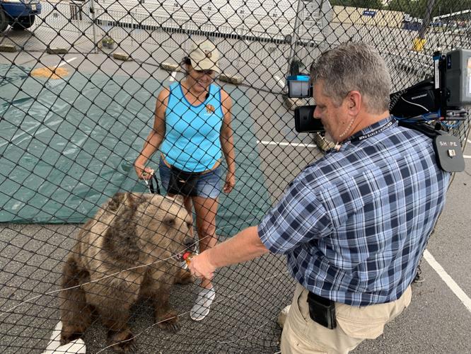Feeding the bears at Kentucky State Fair