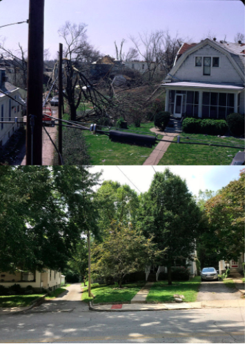 Screen Shot 2020-04-03 at 3.58.20 PM.png