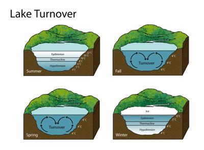 Lake Turnover Explainer