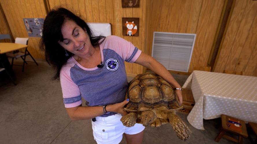 Turtle Yoga at Second Chances Wildlife Center