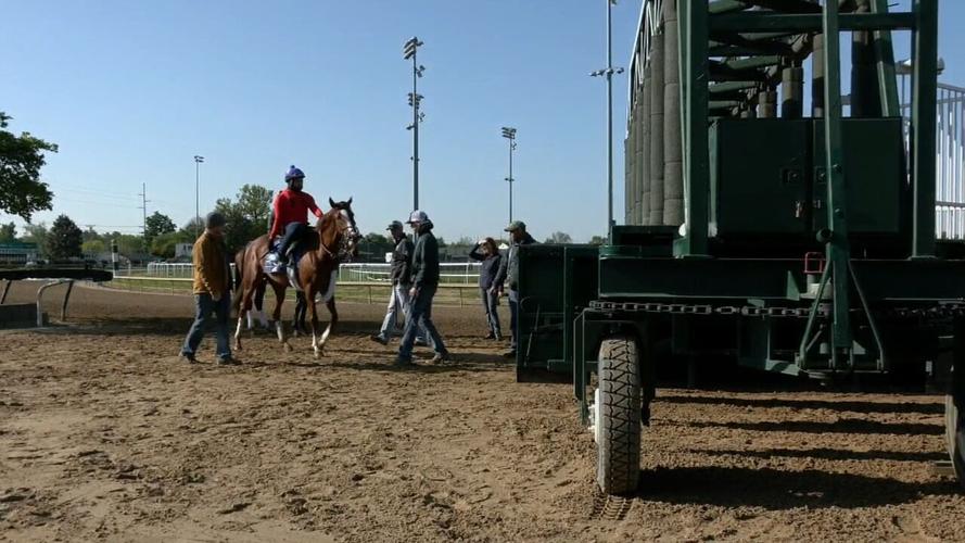 Horses being loaded into starting gate 2 - from clip - used on 5.2.23