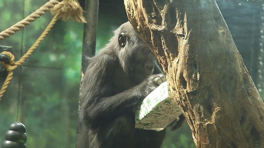 Kindi's 3rd birthday party.jpg