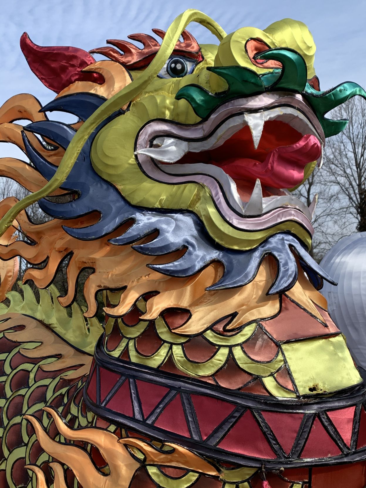 Asian Lantern Festival (dragon).jpg