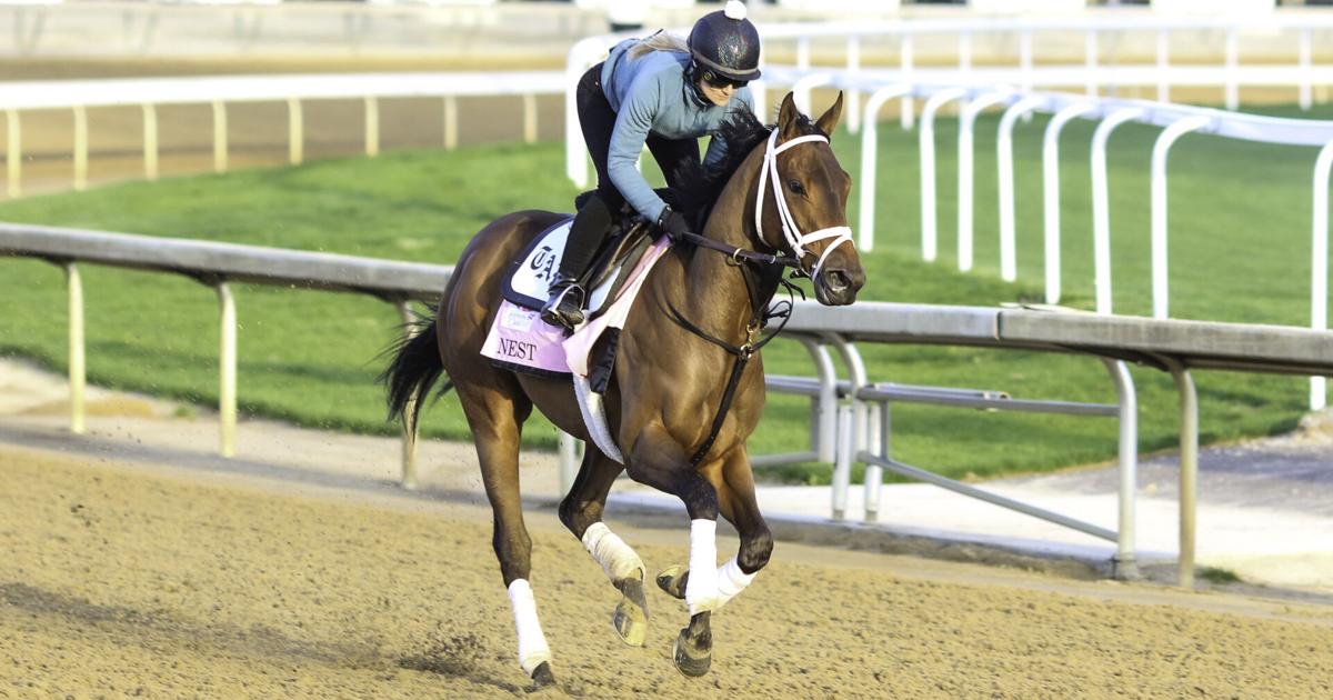 KENTUCKY OAKS DRAW Pletchertrained Nest made 52 morning line favorite for Oaks Derby 148