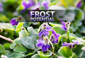 Frost Advisory Issued For Kentuckiana