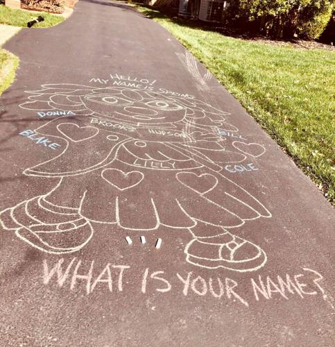 PLAINVIEW - CHALK DRAWINGS - IMAGES BILL HALL  (9).jpg