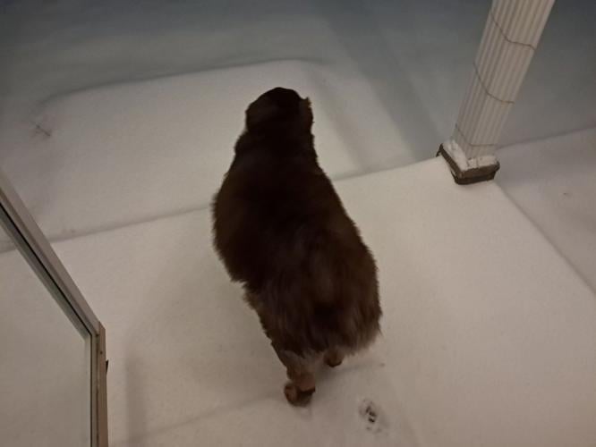 JEFFERSONVILLE SNOW 01-25-26 TIM SHERRER.jpg