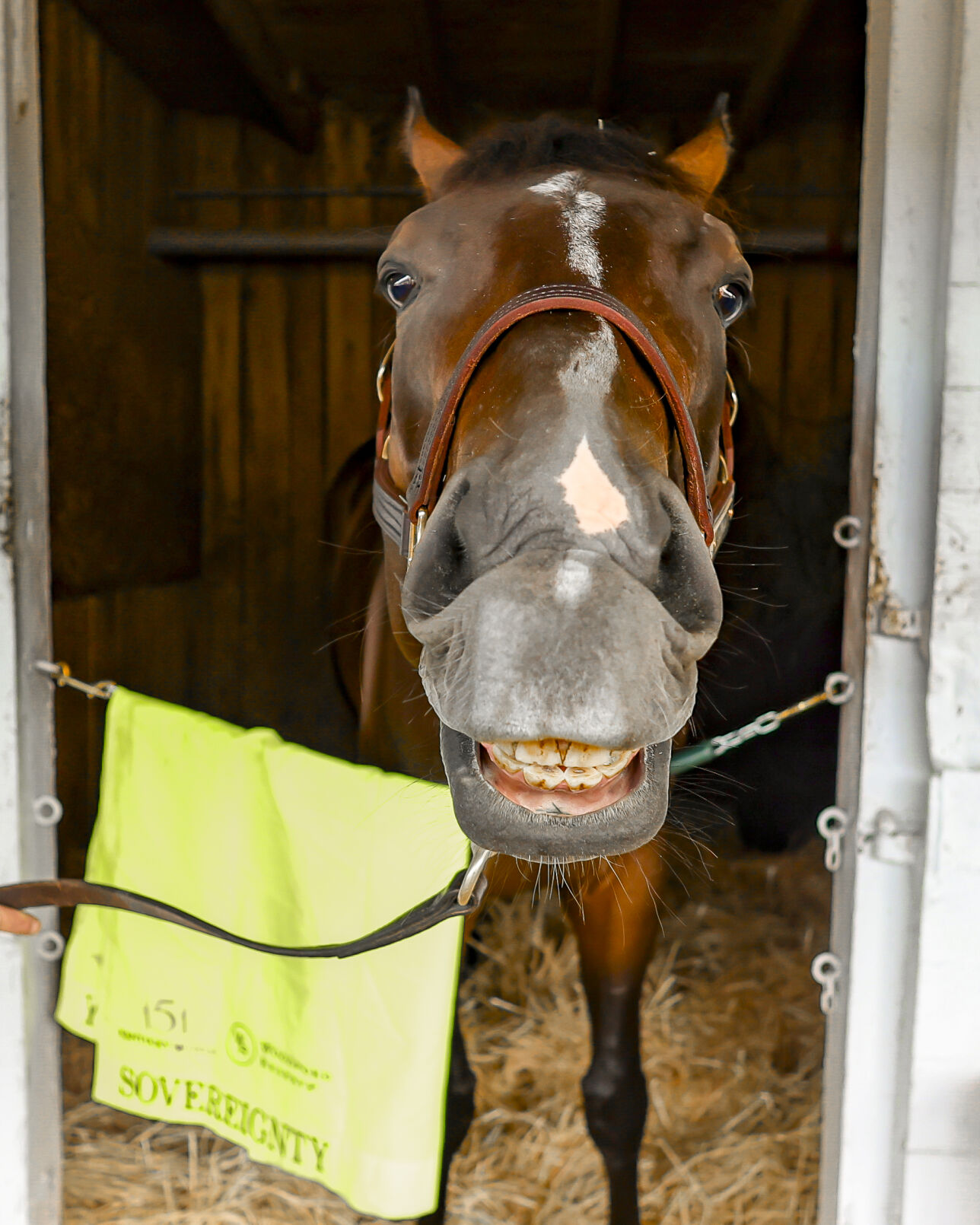 Sovereignty in stall.jpg