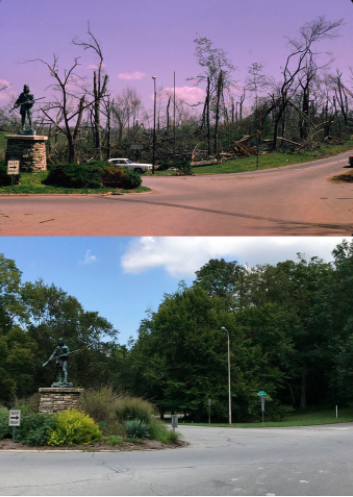 Screen Shot 2020-04-03 at 3.58.36 PM.png