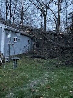 Tree on garage in Brandenburg