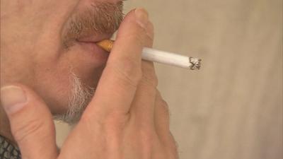 define tobacco mosaic virus Tobacco Mosaic Virus (TMV)